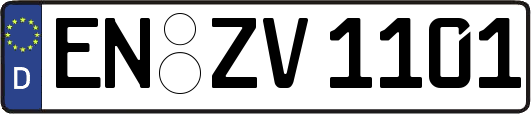 EN-ZV1101