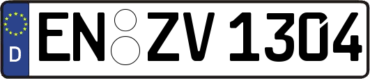 EN-ZV1304