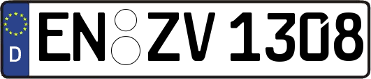 EN-ZV1308