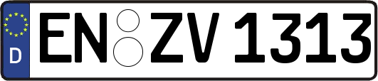 EN-ZV1313