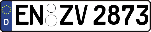 EN-ZV2873