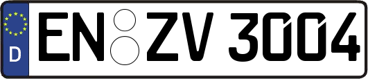 EN-ZV3004