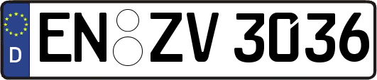 EN-ZV3036