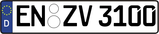 EN-ZV3100