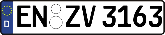 EN-ZV3163