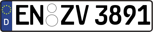 EN-ZV3891