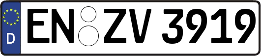 EN-ZV3919