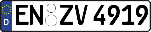 EN-ZV4919