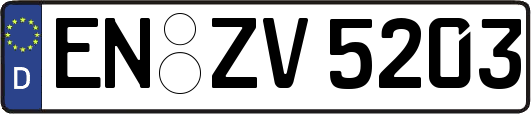 EN-ZV5203