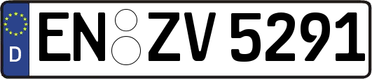 EN-ZV5291