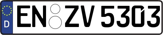 EN-ZV5303