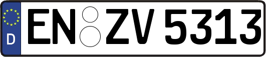 EN-ZV5313