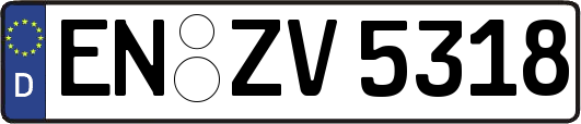 EN-ZV5318