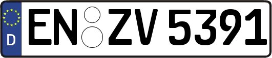 EN-ZV5391