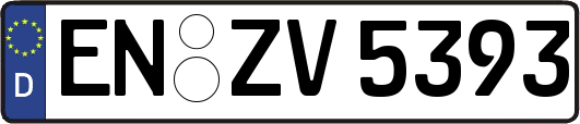 EN-ZV5393