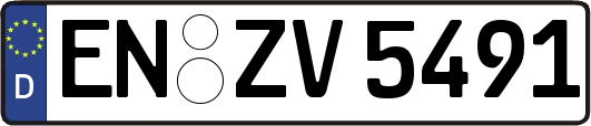 EN-ZV5491