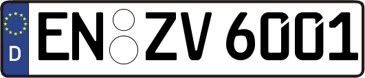 EN-ZV6001