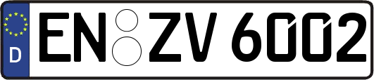 EN-ZV6002