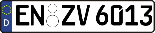 EN-ZV6013