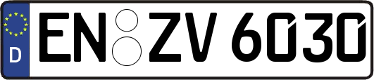 EN-ZV6030