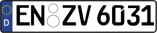 EN-ZV6031