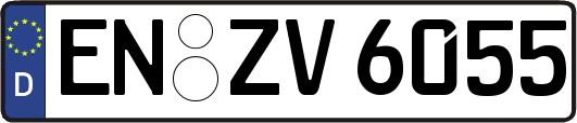 EN-ZV6055