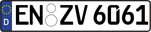 EN-ZV6061