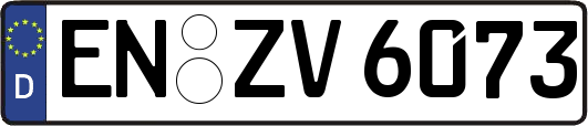 EN-ZV6073