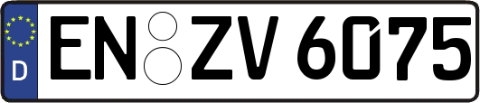 EN-ZV6075