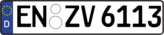 EN-ZV6113