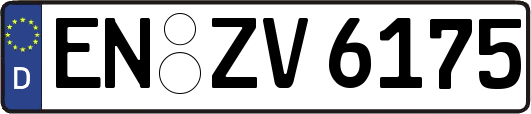 EN-ZV6175