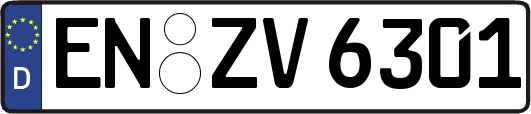 EN-ZV6301