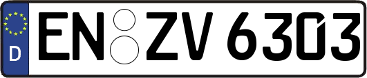 EN-ZV6303