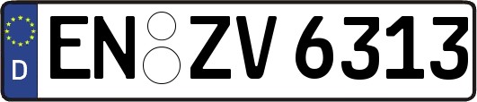 EN-ZV6313