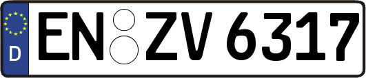 EN-ZV6317