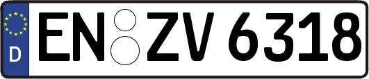 EN-ZV6318