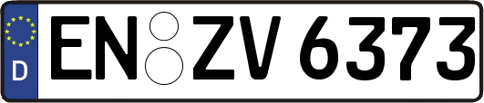 EN-ZV6373