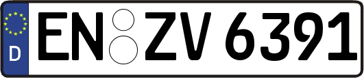 EN-ZV6391