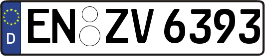 EN-ZV6393