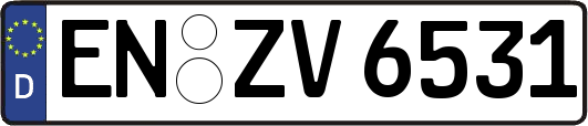 EN-ZV6531