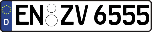 EN-ZV6555