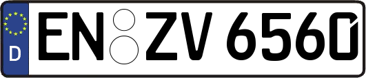 EN-ZV6560