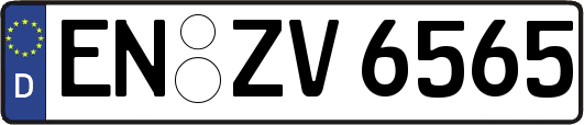 EN-ZV6565