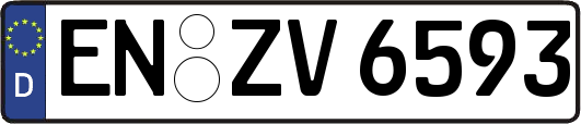 EN-ZV6593