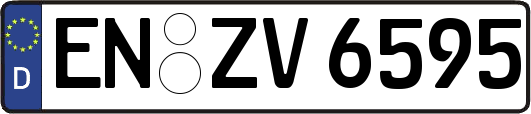 EN-ZV6595