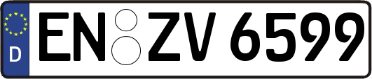 EN-ZV6599