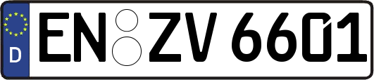 EN-ZV6601