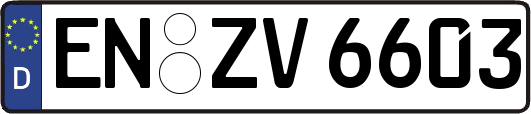 EN-ZV6603