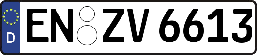 EN-ZV6613