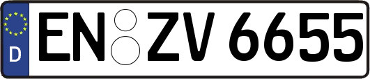 EN-ZV6655